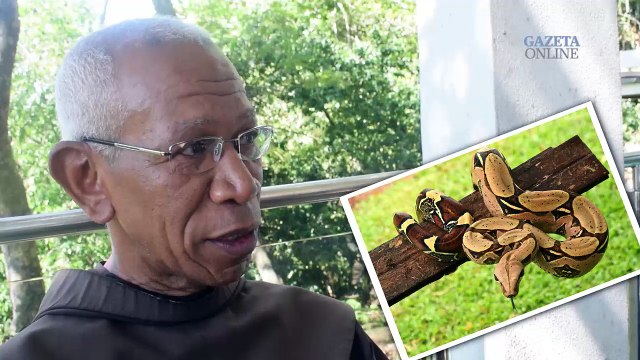 Conheça a rotina dos frades e curiosidades sobre o Convento da Penha