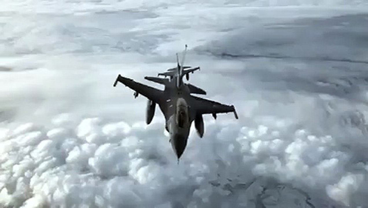 For Falcon Lover