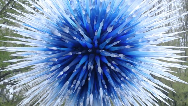 These mesmerizing glass sculptures will leave you in awe