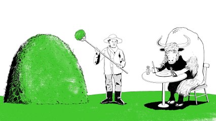 Earth Day 2017 Do solar farms feed yaks  Apple