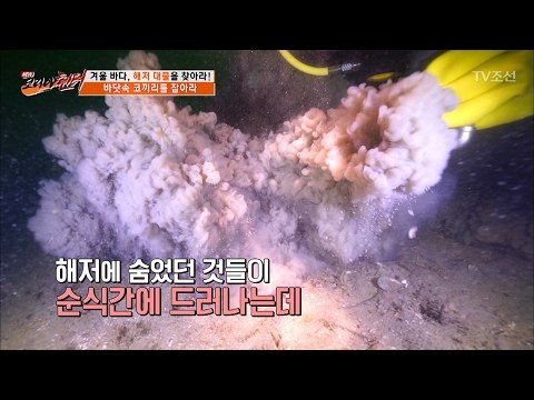 바다에서 잡힌 코끼리?! 해저 대물을 찾아라! [뉴 코리아 헌터] 37회 20170213