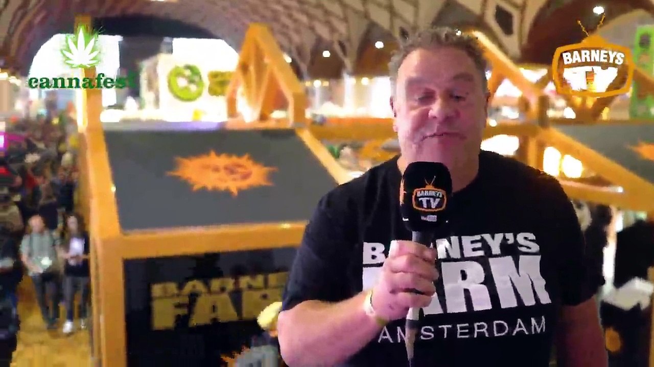 Barneys Farm in Prague - Cannafest 2016