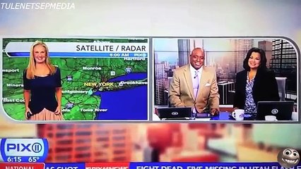 BEST NEWS BlOOPERS FAILS COMPILATION NOVEMBER 2016 -- BEST GIRLS SHOW TV !!