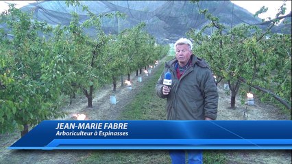 D!CI TV : Jean-Marie Fabre, arboriculteur à Espinasses