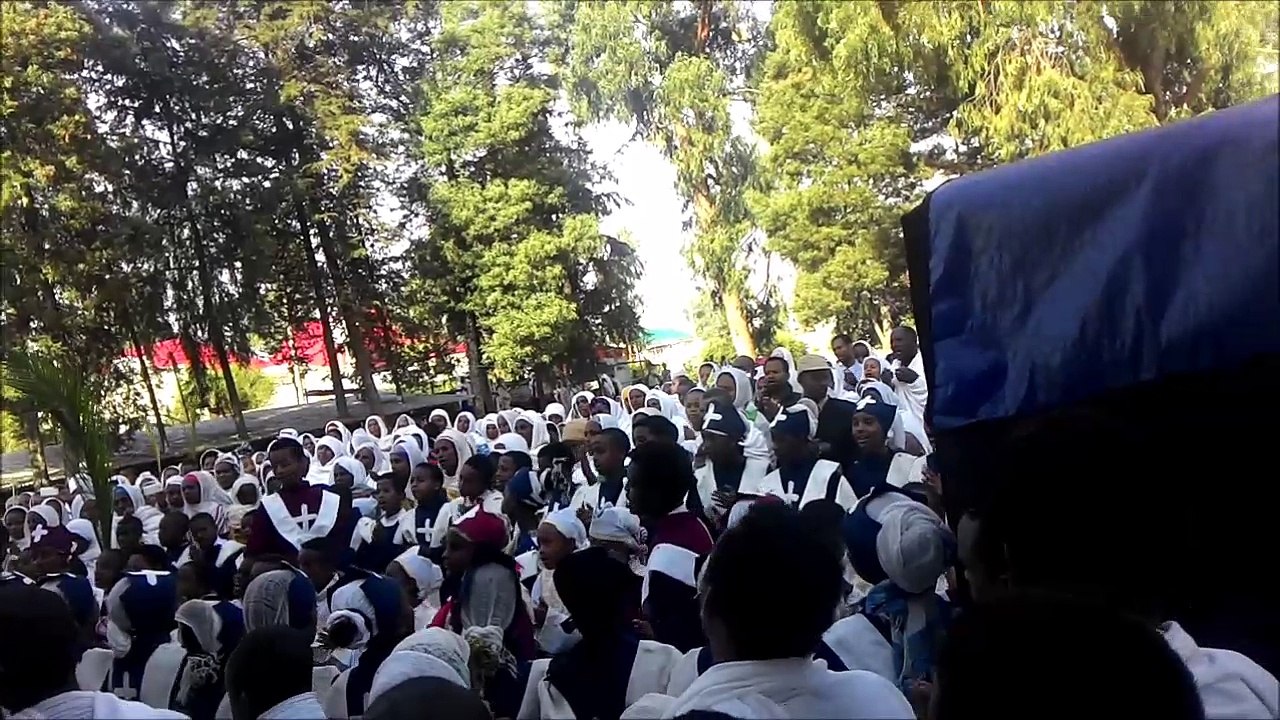 Hosaena Mezmur -debre yidras