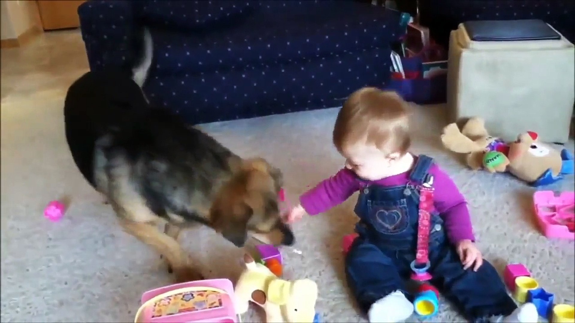 Kids Funny Video - Funny Videos Of Kids - Funny Videos For Kids