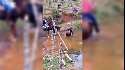 FUNNY ANIMAL REVENGE ON HUMANS !!