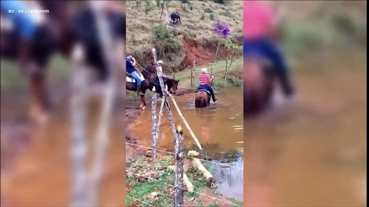 FUNNY ANIMAL REVENGE ON HUMANS !!