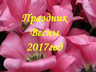 Праздник  Весны