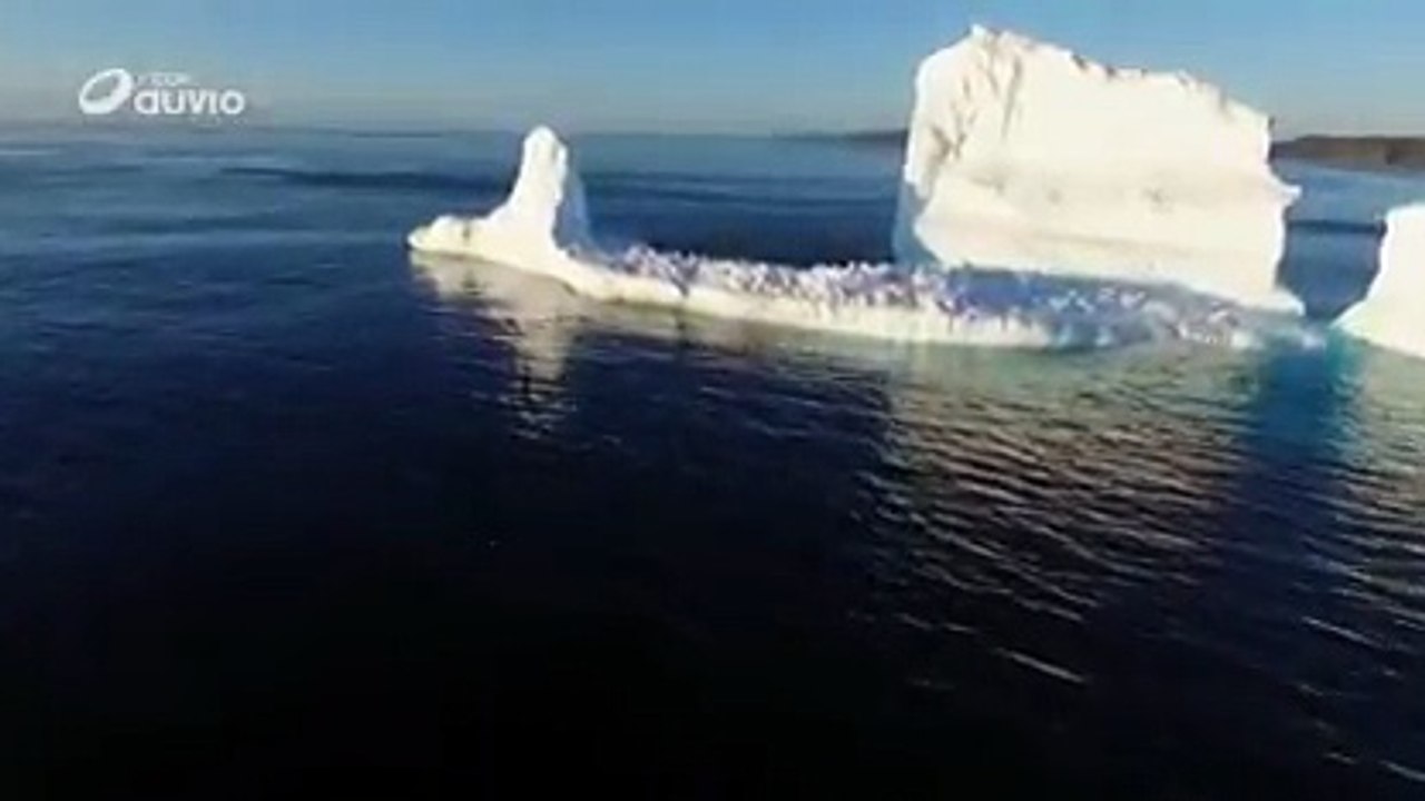 Canada un grand iceberg au large de Terre-Neuve