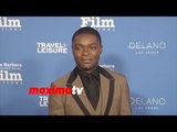 David Oyelowo | SBIFF Virtuosos Award 2015 | Red Carpet