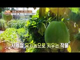 심장을 지키는 유기농 작물! [슈퍼푸드의 비밀 천년만년2] 4회 20170212