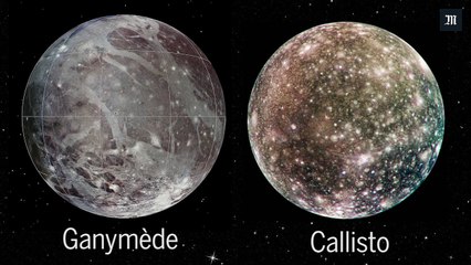 Que de découvertes!!!