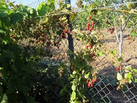 DÜNDEN BU GÜNE KÖYLÜLERİMİZ