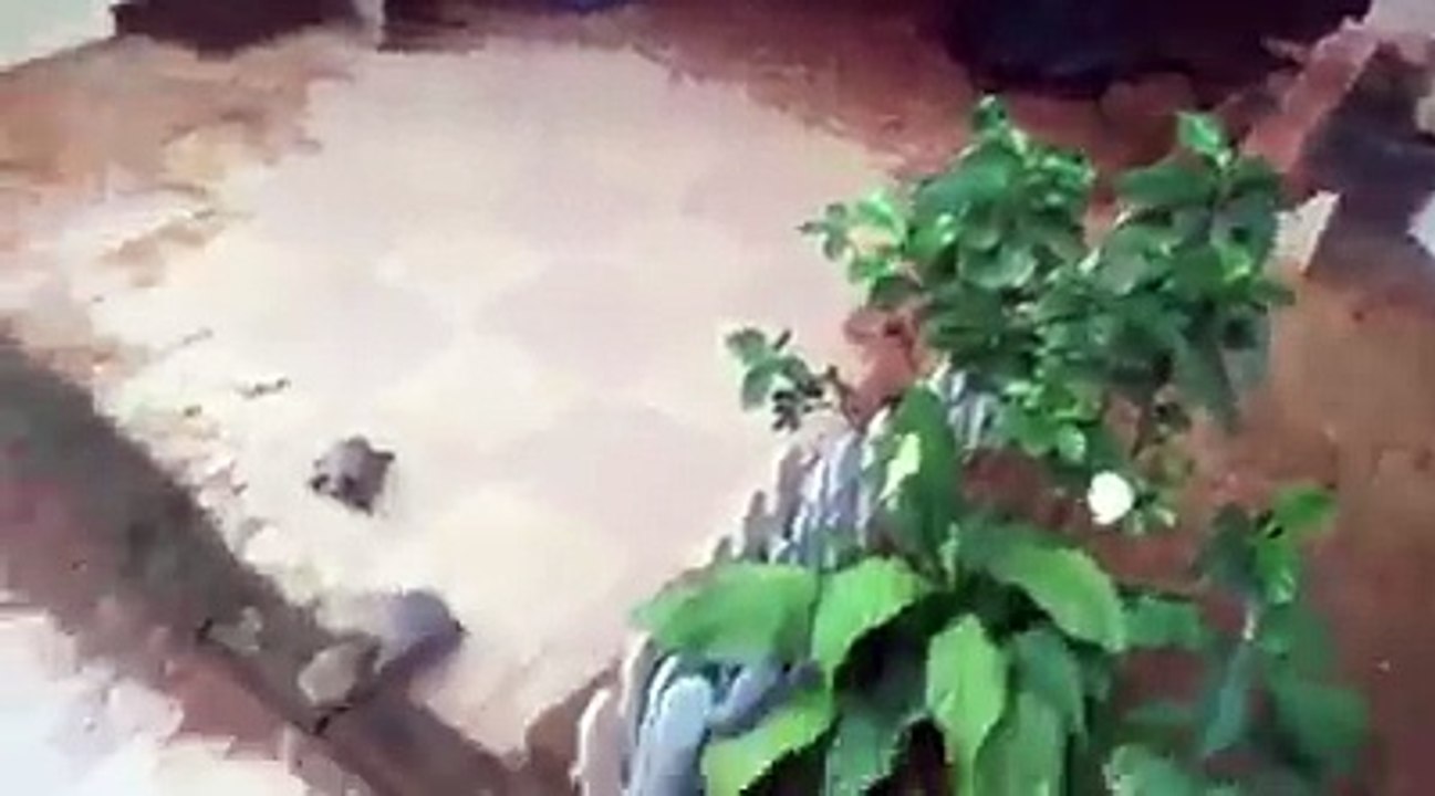 Awesome VIDEO - Don't Forget To Watch (1)