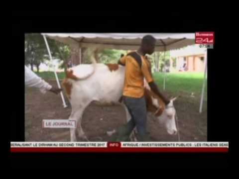 Business 24 / Journal Télévisé : Edition du JT du Jeudi 20 Avril 2017