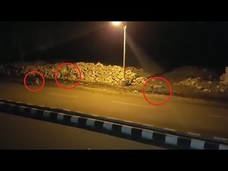 Junagadh : 8 Lions stroll the roads of Gujarat, Watch Video | Oneindia News