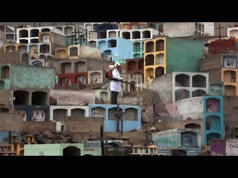 Zika outbreak in Peru, 30 pregnant women infected | Oneindia News