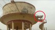 Bull becomes Viru of Sholay, climbs water tank in Rajasthan's Churu | Oneindia News