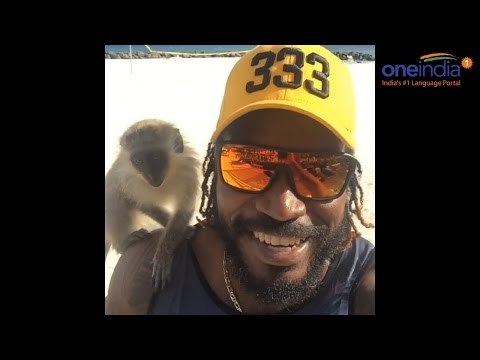 Chris Gayle reveals new drinking partner, Watch Video | Oneindia News
