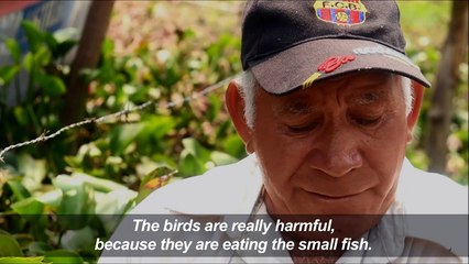 Locals compete with invading birds for fish in El Salvador lake
