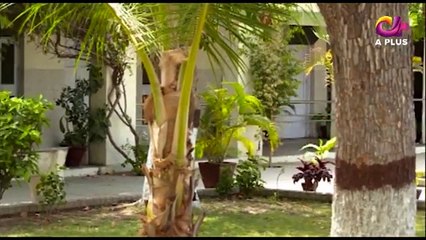 Ghayal - Episode 28 ( Last ) - 20th April 2017