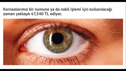 Organlarınızı Satmak İstediğinizde Kazanacağınız Para Sizi Biraz Şaşırtacak!
