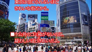 【海外の反応】パリ市民が驚愕！パリで影響を与えた日本人の行動がすごい！日本人が始めた清掃ボランティア活動に海外から絶賛の声！