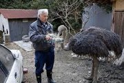 El Hombre que Resistió en Fukushima (Noticias Asombrosas)