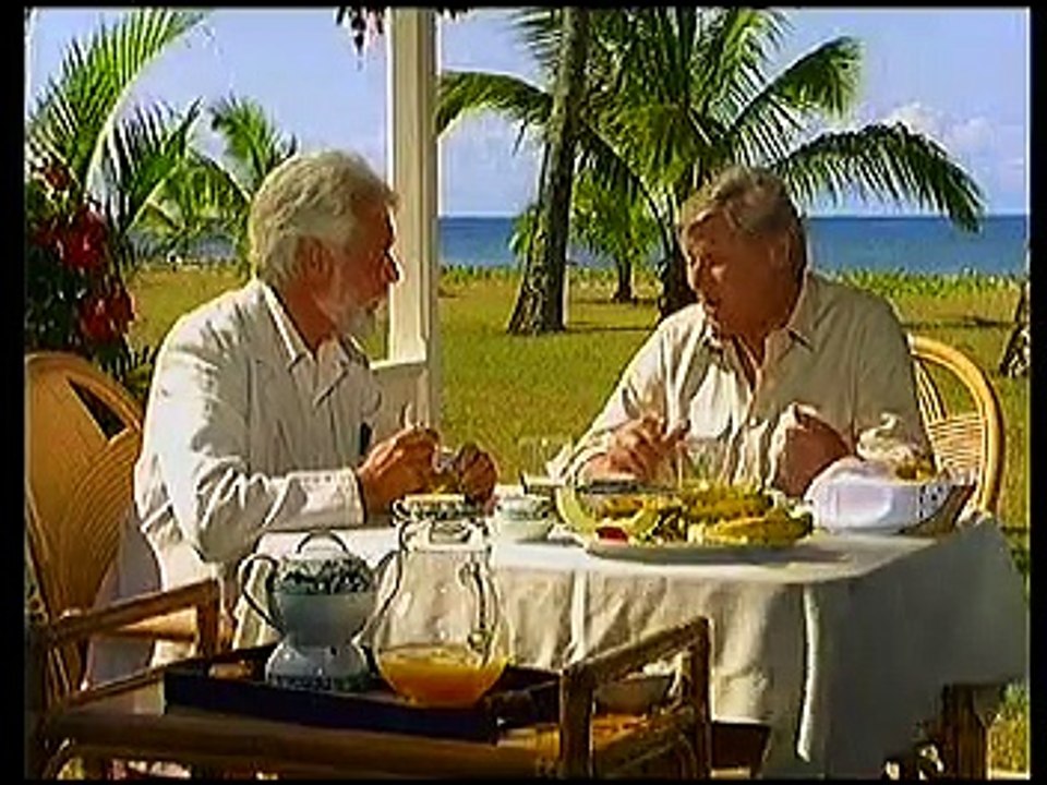 Insel der Träume - Die falsche Frau