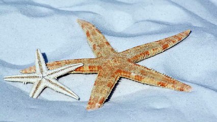 태릉건마 ぞ 태릉오피 ス 오피쓰 ホ 태릉휴게텔 태릉키스방 태릉마사지