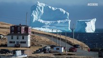 Impresionantes imágenes de un iceberg que apareció en las costas canadienses le dan la vuelta al mundo