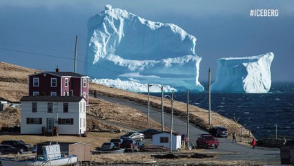 Impresionantes imágenes de un iceberg que apareció en las costas canadienses le dan la vuelta al mundo