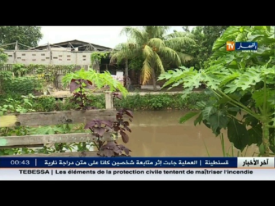 ريبورتاج: مدن.. أحياء ومقابر مراعية للبيئة