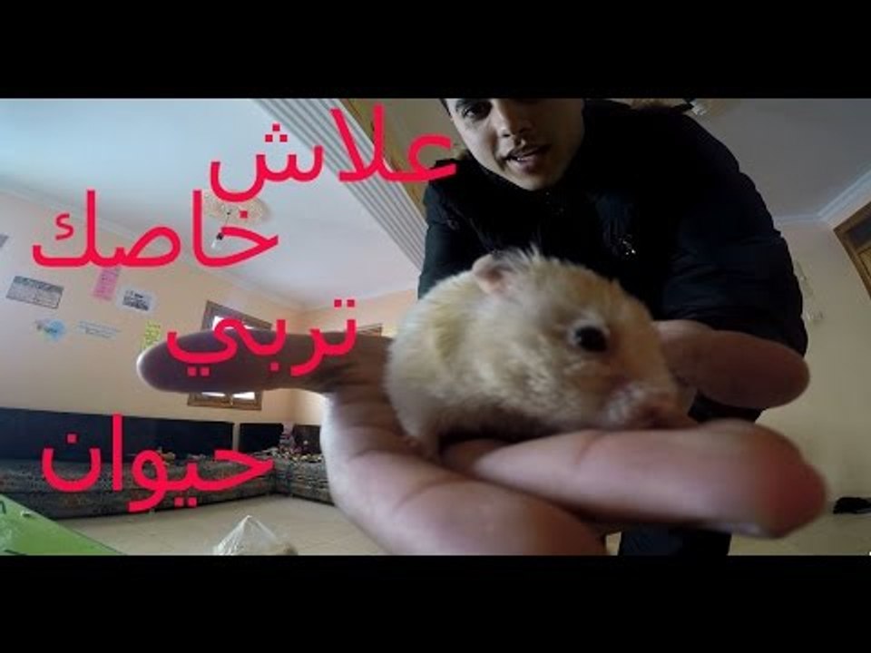 علاش خاصك تربي حيوان ؟