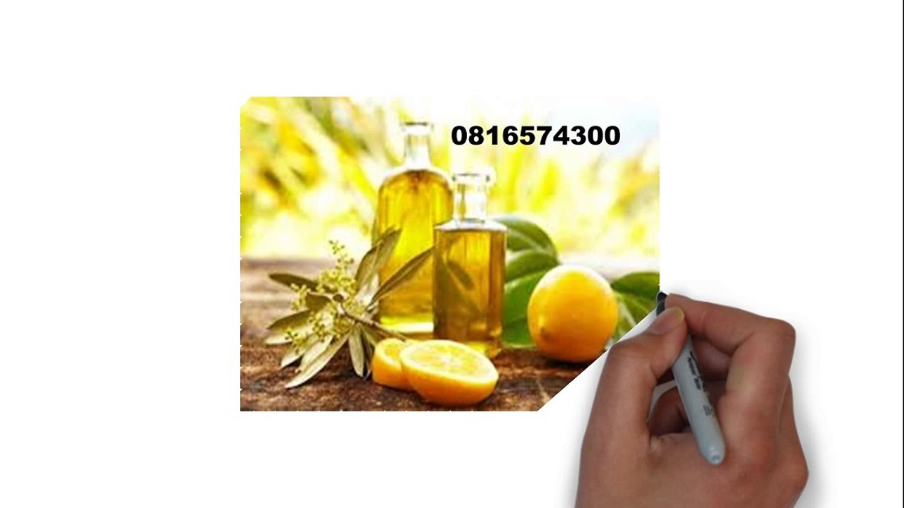 081-657-4300 (Indosat) Jual Minyak Zaitun Di Jawa Timur
