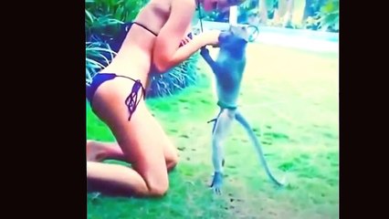 Most Funny Videos Latest 2017 || Try Not To Laugh Challenge