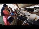 Beef smugglers forced to eat cow dung | Oneindia News