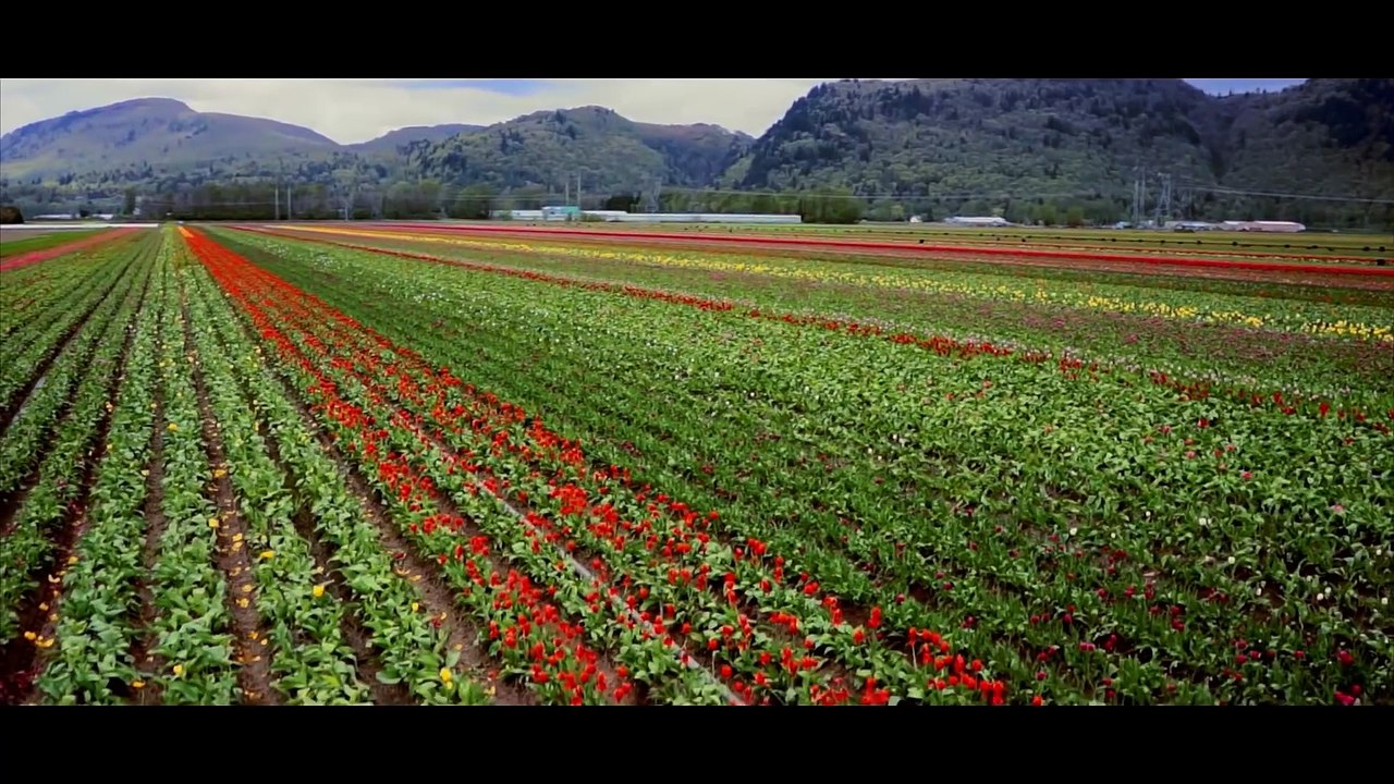 Pendu___Amrinder_Gill_Feat._Fateh___Judaa_2___Latest_Punjabi_Romantic_Songs