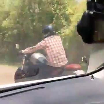 En Tailandia las serpientes estan locas