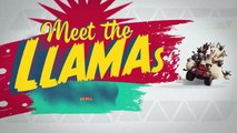 Memenuhi llamas - Farmers Llamas - -BWcMOlkOslc