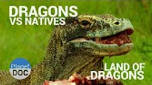 Dragons Vs Natives. Land of Dragons   Nature - Planet Doc Full Documentaries(720p)