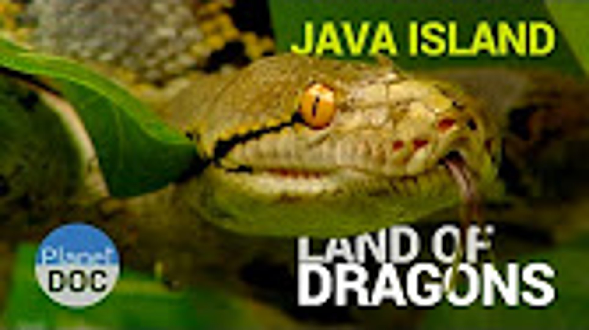 ⁣Java Island   Indonesia . Land of Dragons   Nature - Planet Doc Full Documentaries