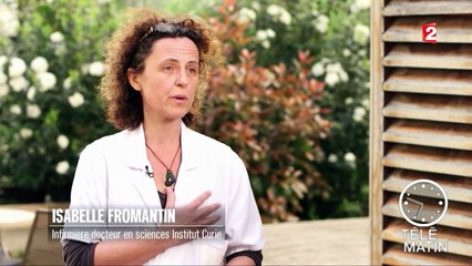 Faune - Des chiens dépisteurs de cancer du sein