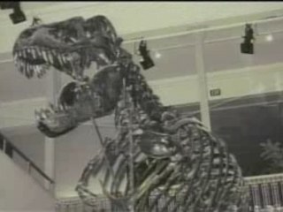 Chuck - Flight Ocean 815