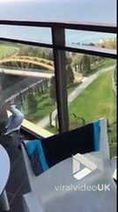 Il sauve un mouette coincée sur son balcon