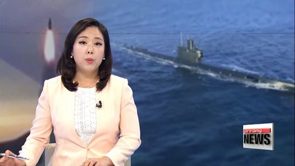 N. Korea makes significant progress in SLBM development according to UN report