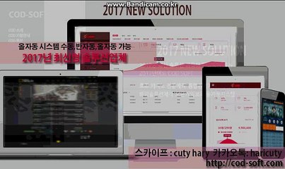 #토토솔루션 COD-SOFT 카톡:haricuty 스카이프:cuty hary