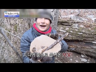 입이 떡! 사람 얼굴만한 대형 말굽 버섯! [광화문의 아침] 412회 20170201