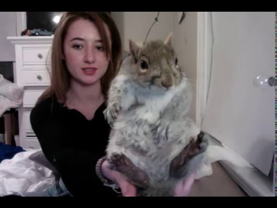 Rescued Squirrel Finds Loving Home